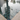 Abalon Abyss Mosaic
