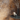 Opaline Shadow